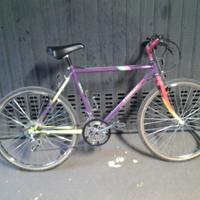 rampichino vintage moser
