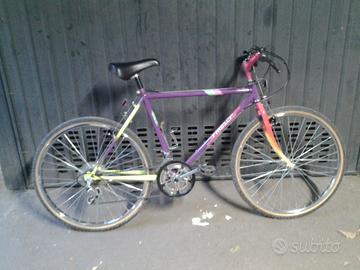 rampichino vintage moser