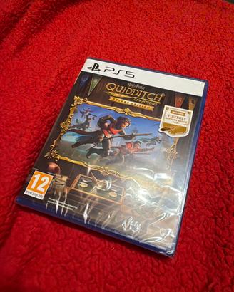 Harry Potter Quidditch Nuovo Ps5