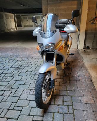 pegaso  650