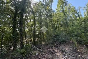 TER. AGRICOLO A NARNI