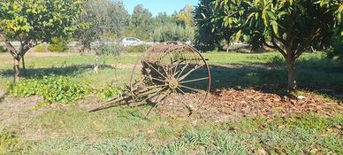 Antichità. Oggetti antichi per giardini