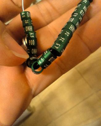 Anelli per pappagalli