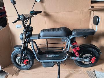 Bici elettrica 