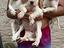 Immagine 4