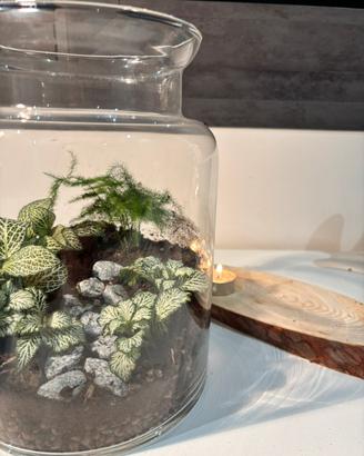 Terrarium grande