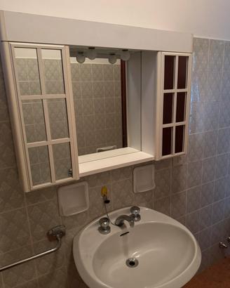 Specchiera bagno con ante