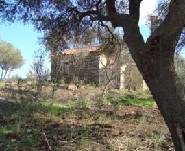 Terreno con antico stazzo gallurese