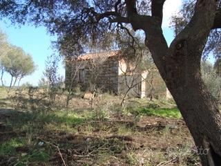 Terreno con antico stazzo gallurese