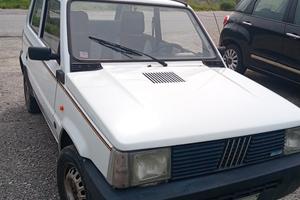  panda750 young