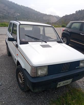  panda750 young