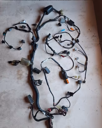Impianto elettrico honda cbr 600 2001-2006- 2X