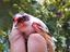 Immagine 6