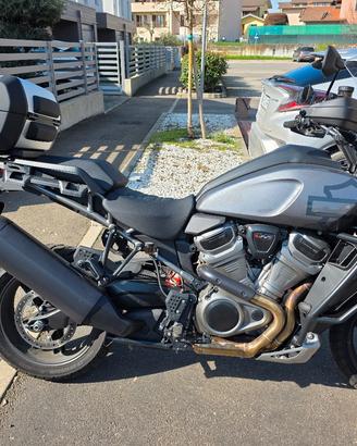 Harley Davidson Pan America Special