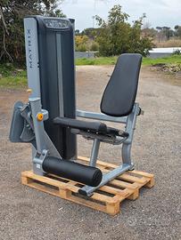 Leg extension matrix