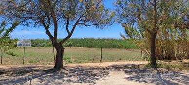 Agricolo a Quartu Sant'Elena - Molentargius