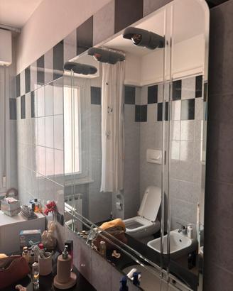Specchio bagno grande con luce