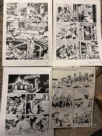 4 x tavole originali Tex