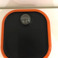 Bilancia Terraillon vintage