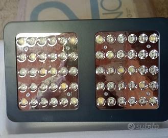 lampada led per coltivazione piante