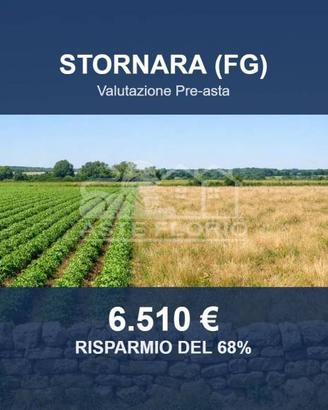 Immobile in asta di 1529 m² a Stornara