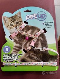 Accessori cani piccolissima taglia e gattini 