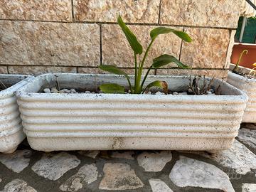 8 Fioriere in Cemento (80-100 cm) Vasi da Esterno