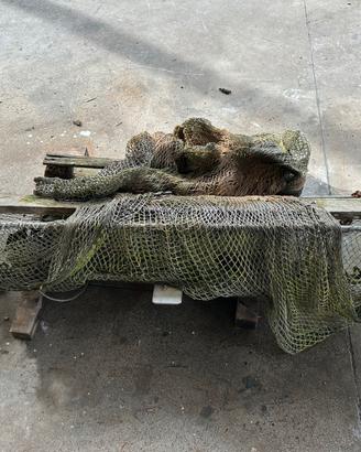 Rastrello professionale per telline/vongole