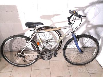 Bicicletta mountain bike Bianchi con Shimano 26