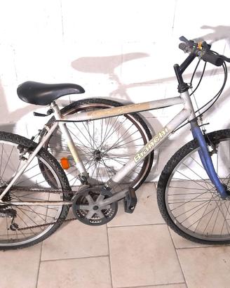 Bicicletta mountain bike Bianchi con Shimano 26