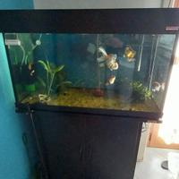 acquario completo wawe classic 80