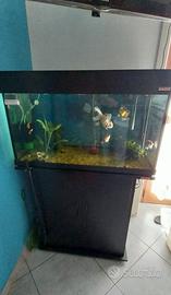 acquario completo wawe classic 80