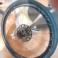 Ruote Campagnolo Levante Gravel Complete