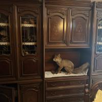 Arredamento salotto, credenza, divano e poltrone