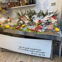 Banco frigo refrigerato con motore frigo