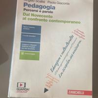 Pedagogia. Percorsi e parole.