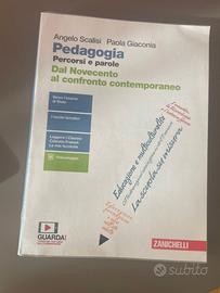 Pedagogia. Percorsi e parole.