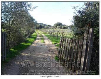 Terreno Agricolo Olbia [A4348493]