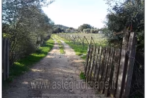 Terreno Agricolo Olbia [A4348493]