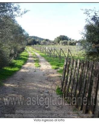 Terreno Agricolo Olbia [A4348493]