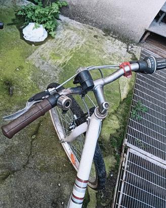 Bicicletta ragazzi