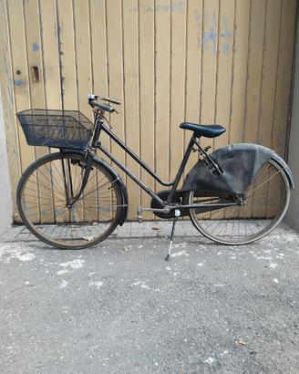 Bicicletta con cestino