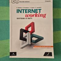 Internet Working, Sistemi e Reti