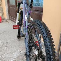 Down Hill free ride bici