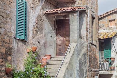 MULTILOCALE A CAPRANICA