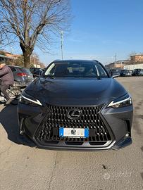 Lexus NX 350h Allestimento Premium
