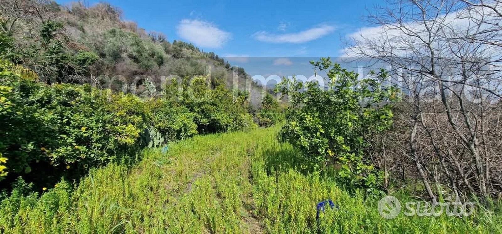 Rustico con terreno a Portosalvo di Mascali - Vista 4