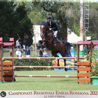 Cavalla Salto Ostacoli Zangersheide 2013