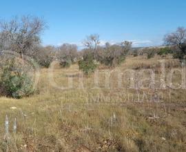 Terreno Agricolo Gallipoli [Cod. rif 3082701VRG]