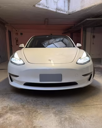 Tesla model 3 performance 2021